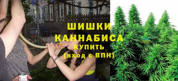 экстази Гусев