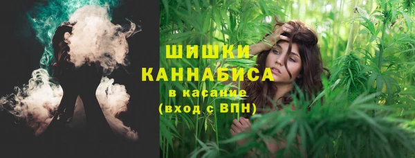 прущие грибы Дмитриев