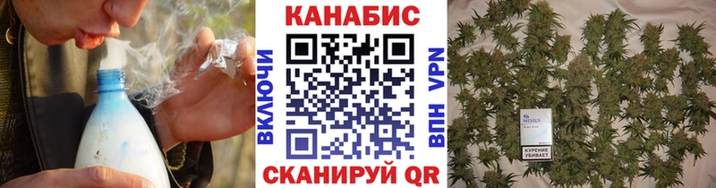 Шишки марихуана индика Зверево