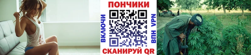 Бошки марихуана план Купить Зверево